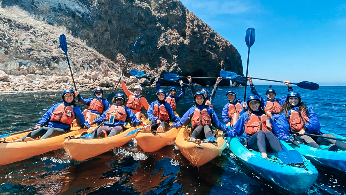 wine-blending-team-building